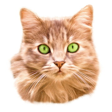 green eyed cat  - illustration based on own photo image