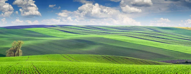 Foto op Plexiglas Wonderful panoramic view of colorful and striped hills, beautifu © Taiga