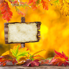 Naklejka na ściany i meble Colorful autumnal background with leaves