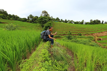 Fototapeta na wymiar Man and Rice terraces in Mae Chaem at Thailand