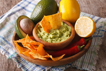Mexican cuisine: nachos and guacamole sauce and ingredients 
