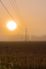 Misty Morning