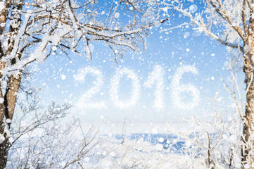 Inscription of the new year 2016 with winter forest background