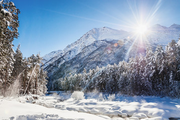 Winter forest and mountains at sunny day