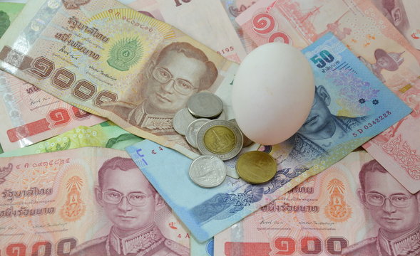 Thai money and white egg
