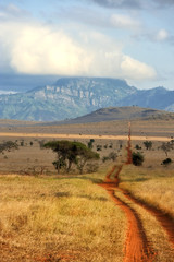Red ground road and bush with savanna landscape in Africa