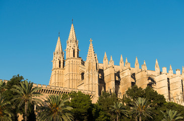 Fototapeta premium View on the Roman Catholic Cathedral (La Seu) in Palma de Mallorca, Spain