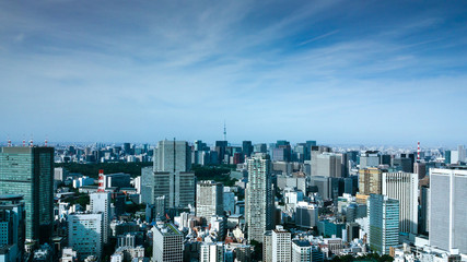 東京のビル群を一望