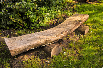 Obraz premium Oak wood bench made of reinforced