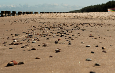 Fototapeta na wymiar Pebbles on the beach 1