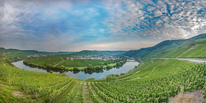 Mosel und Weinberge bei Trittenheim