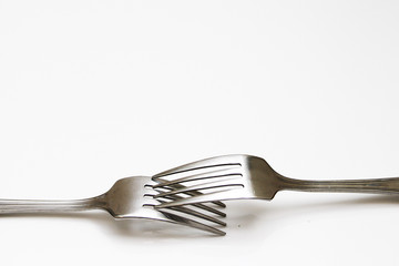twin forks