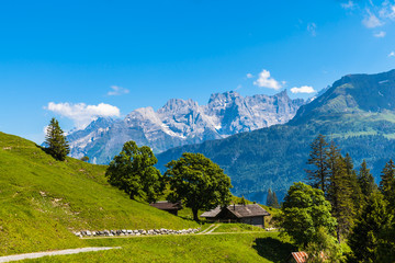 Fototapeta na wymiar On the hiking path on Bernese Oberland