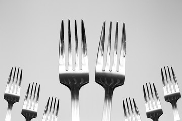big forks and small forks