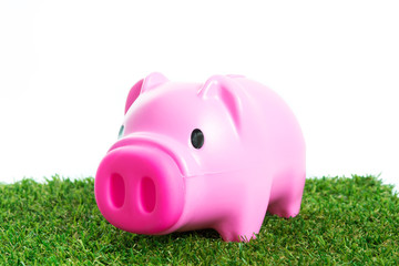 Piggy bank on green grass