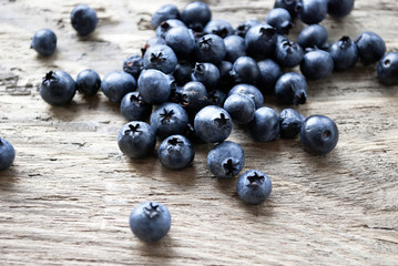 Blaubeeren, Heidelbeeren, Vaccinium myrtillus, auf Treibholz / Holz Brett 
