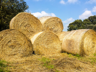 Strohballen