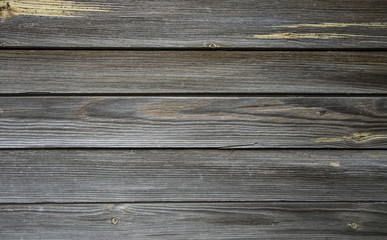 Fototapeta premium old pine board.