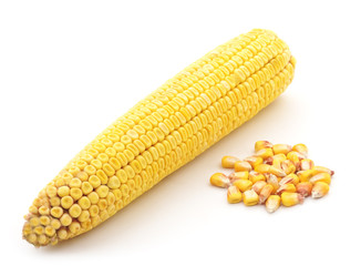 Ripe corn.