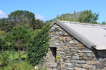 Fototapeta na wymiar Cottage in Irland