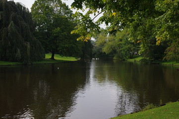Fototapeta na wymiar Teich in einem Park