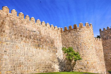 Avila Town Castle Walls Turret  Swallows Castile Spain © Bill Perry