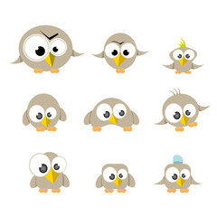 cute birds collection