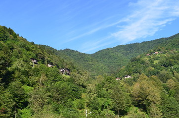 Fototapeta na wymiar bergwälder im pontischen gebirge senyuva camlihemsin