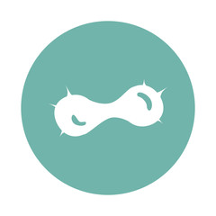 Mitosis icon