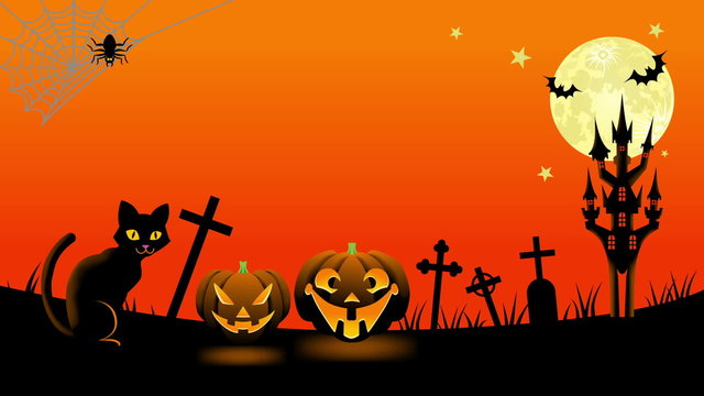 Halloween cat animation