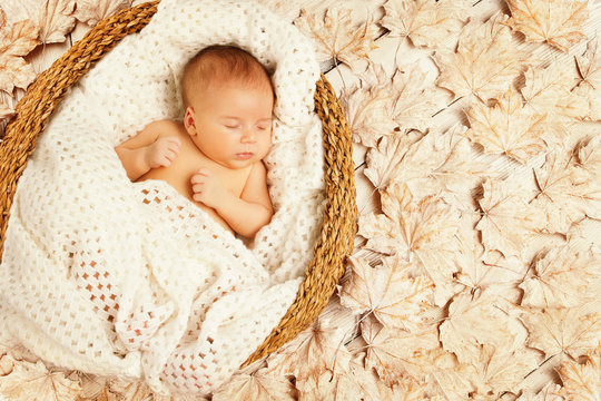 Baby Sleep in Autumn Leaves, New Born Kid, Newborn Asleep