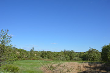 Брянская весна