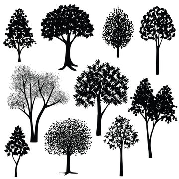 hand drawn trees silhouettes