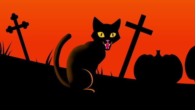 Halloween cat animation -Zoom out