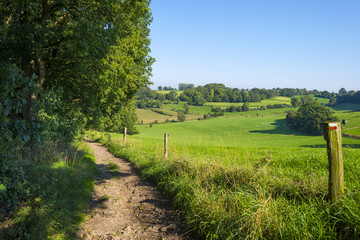 Fototapeta na wymiar Path along fields and trees in summer