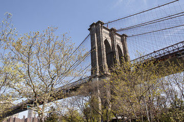 Fototapeta premium Brooklyn Bridge in New York mit Bäumen