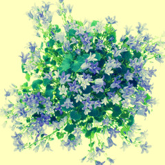 Flowers bells isolated on white