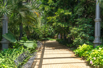 Tropical greenhouse, the Umbracle is a wood brick construction for tropical plants in the Citadel Park Barcelona. The Parc de la Ciutadella is situated in the Barcelona district Ciutat Vella