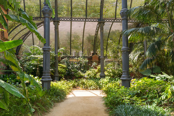 Tropical greenhouse, the Umbracle is a wood brick construction for tropical plants in the Citadel Park Barcelona. The Parc de la Ciutadella is situated in the Barcelona district Ciutat Vella