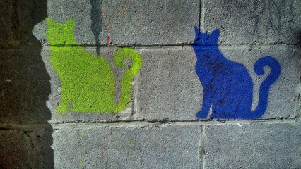 Cats © miracupix
