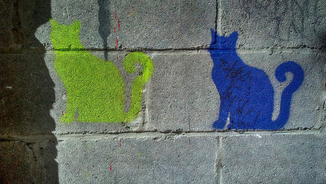 Cats