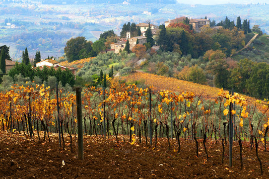 Autumn In Chianti Region, Tuscany, Italy