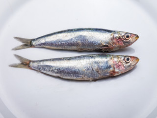 raw sardines on a white plate