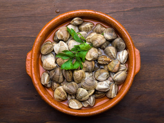 Living uncooked calms, seashells