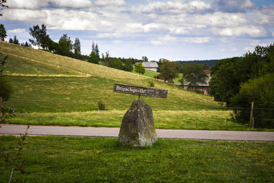 Landscape at the source of stream Brigach