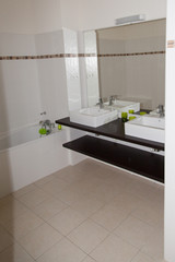 View of a spacious and elegant bathroom