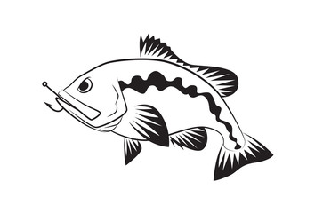 Bass fish symbol on white background,Vector.
