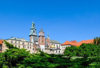 Fototapeta na wymiar Wawel Castle square in Krakow