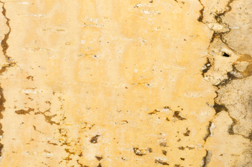 birch bark background texture