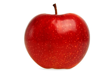 Red apple on a white background